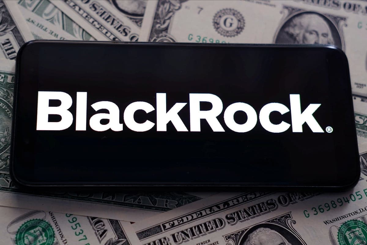 BlackRock envisage un investissement de plusieurs milliards de dollars dans l'introduction en bourse de SpaceX