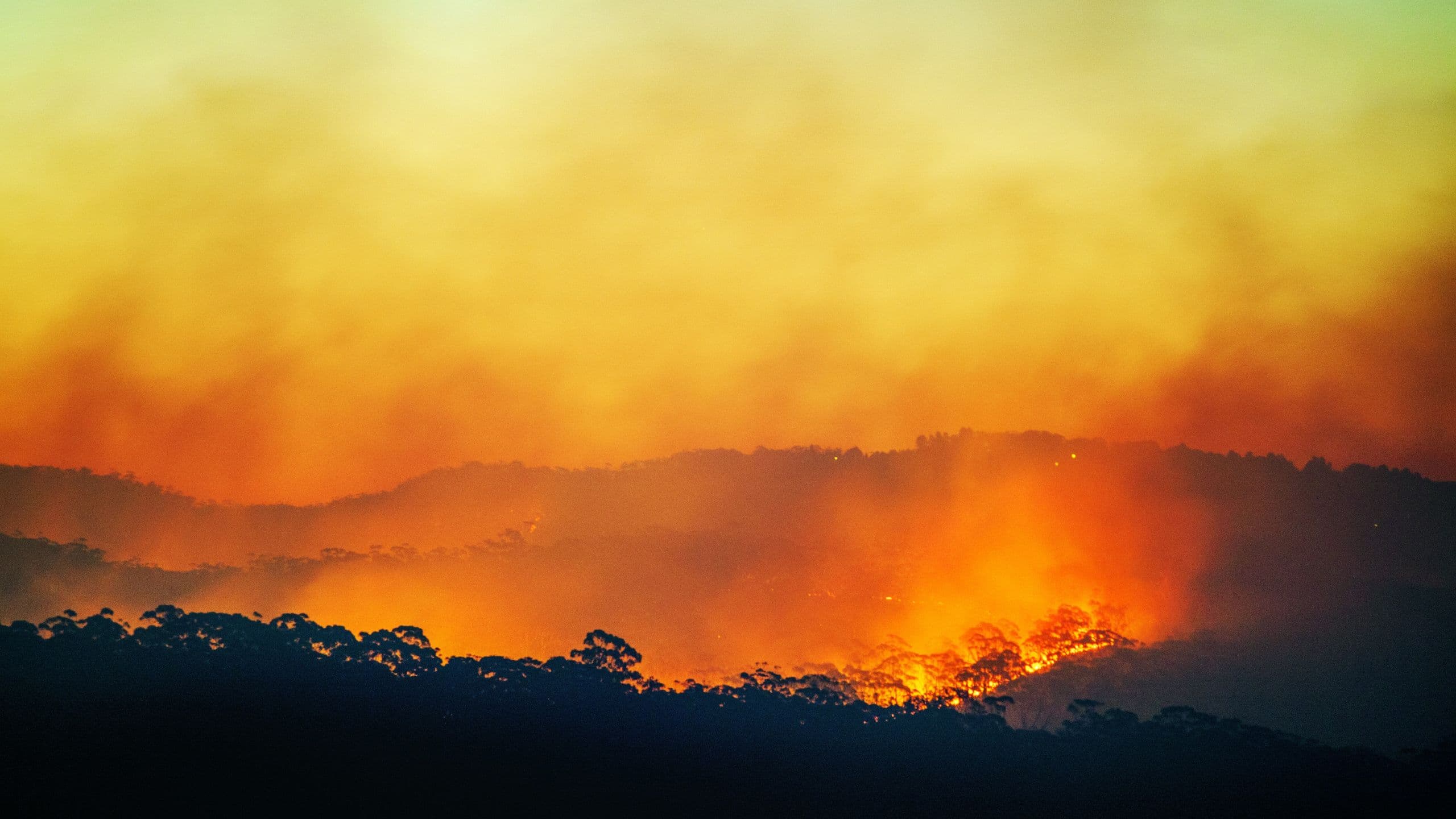 Un « Super El Niño » historique pourrait se développer, impactant potentiellement la météo mondiale et les hivers aux États-Unis