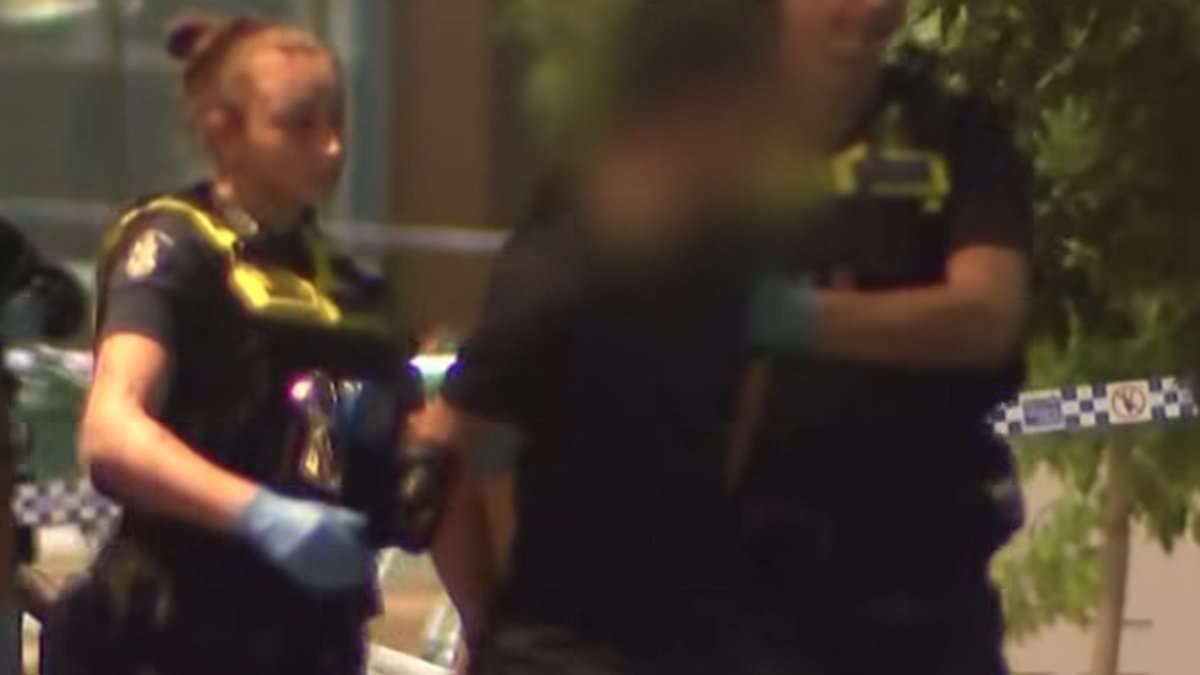 Trois adolescents accusés de meurtre après que contrevenant ait été poignardé à mort à l'extérieur de la gare de Melbourne