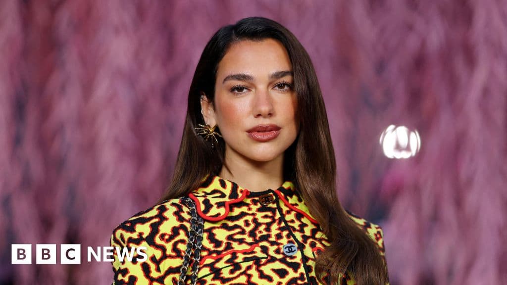 Dua Lipa Sues Samsung for Using Her Image on TV Boxes Without Permission