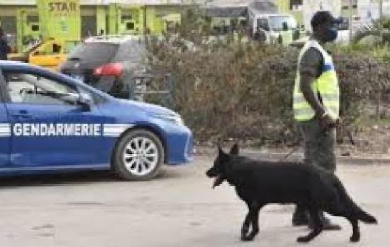 Sénégal: Huit personnes interpellées ivres dans un appartement, drogues et objet sexuel saisis