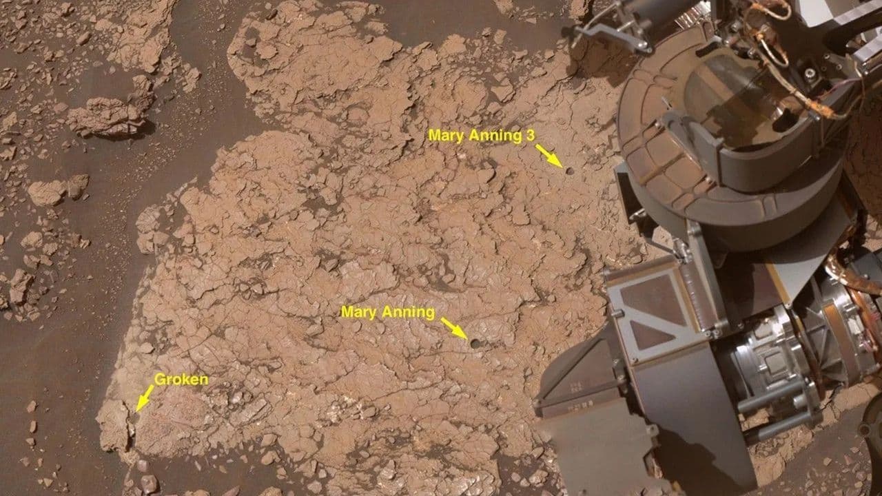 NASA rover finds diverse life-building blocks on Mars