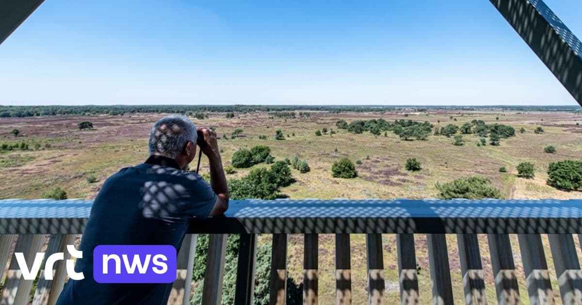 Code geel in Vlaanderen: verhoogde waakzaamheid voor bosbranden