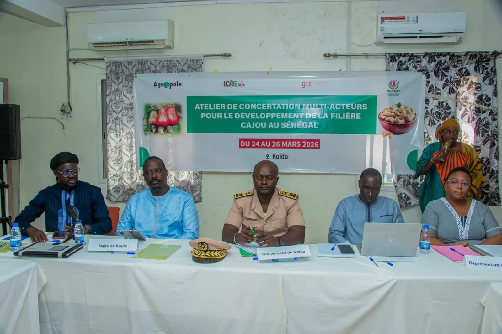 Senegal's cashew sector aims for transformation and inclusion
