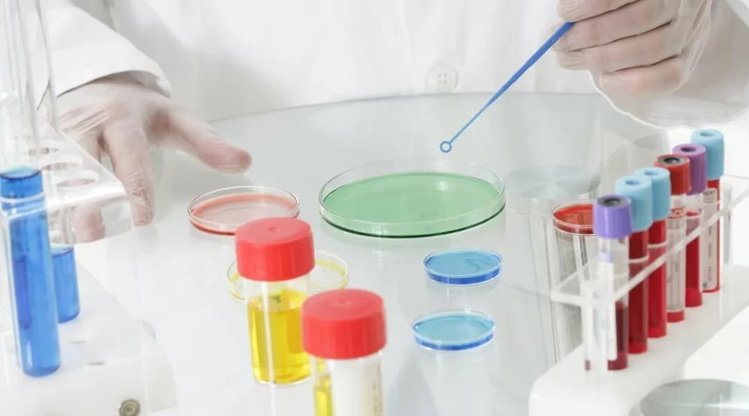 Cancer de la vessie : le sang dans les urines, un symptôme d'alerte souvent méconnu