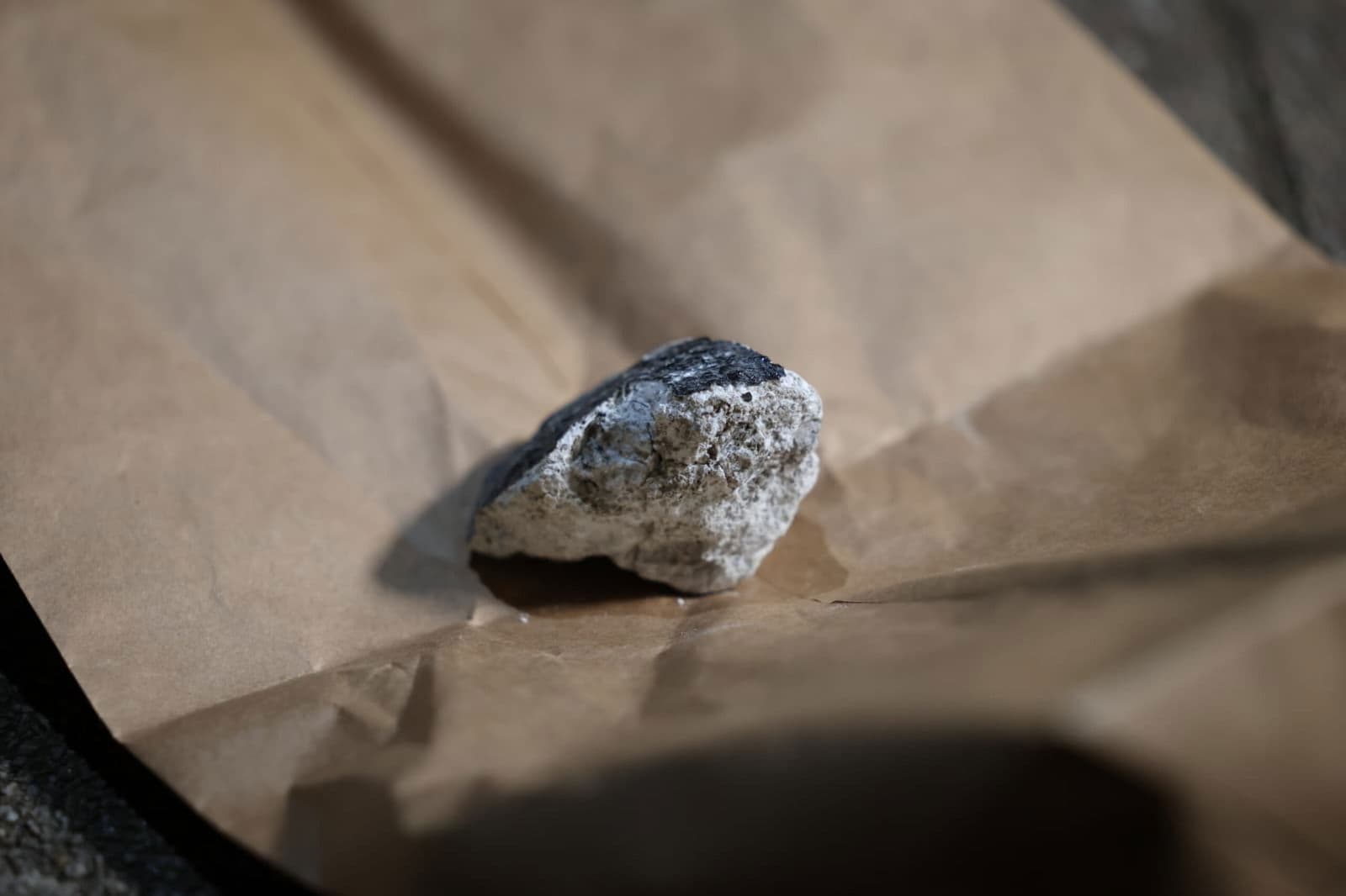 Une rare boule de feu traverse l'Europe, causant des dommages en Allemagne