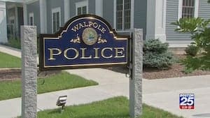 Attempted carjacking at Walpole Mall leaves victims shaken