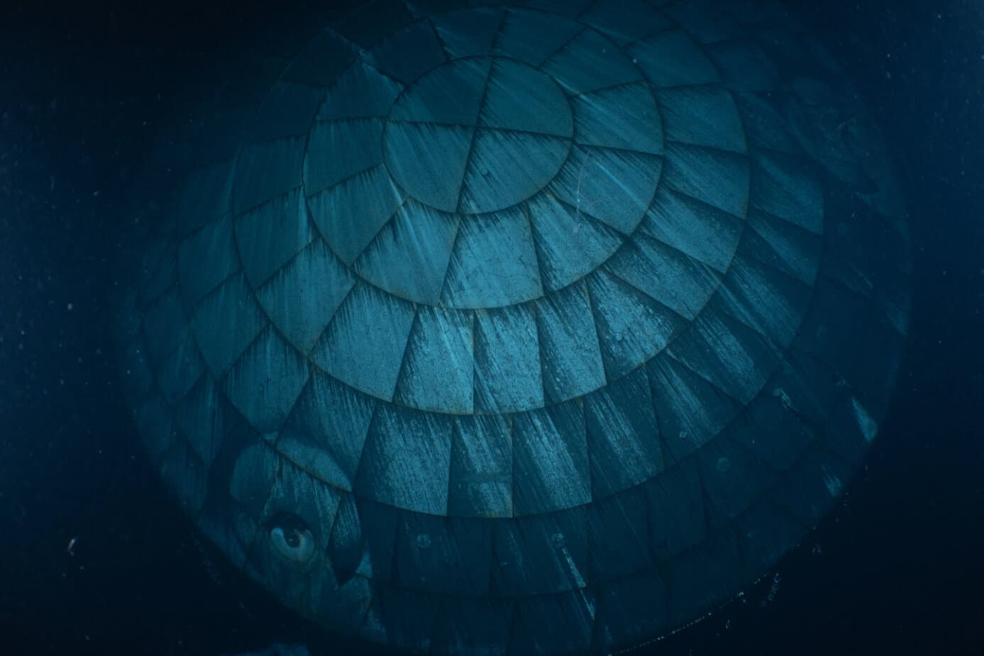 Astronauts' Moon Ship Back on Earth After Historic Journey