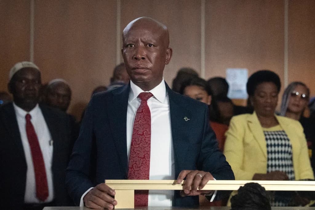 Julius Malema, chef de l'opposition sud-africaine, condamné à 5 ans de prison pour tirs d'armes
