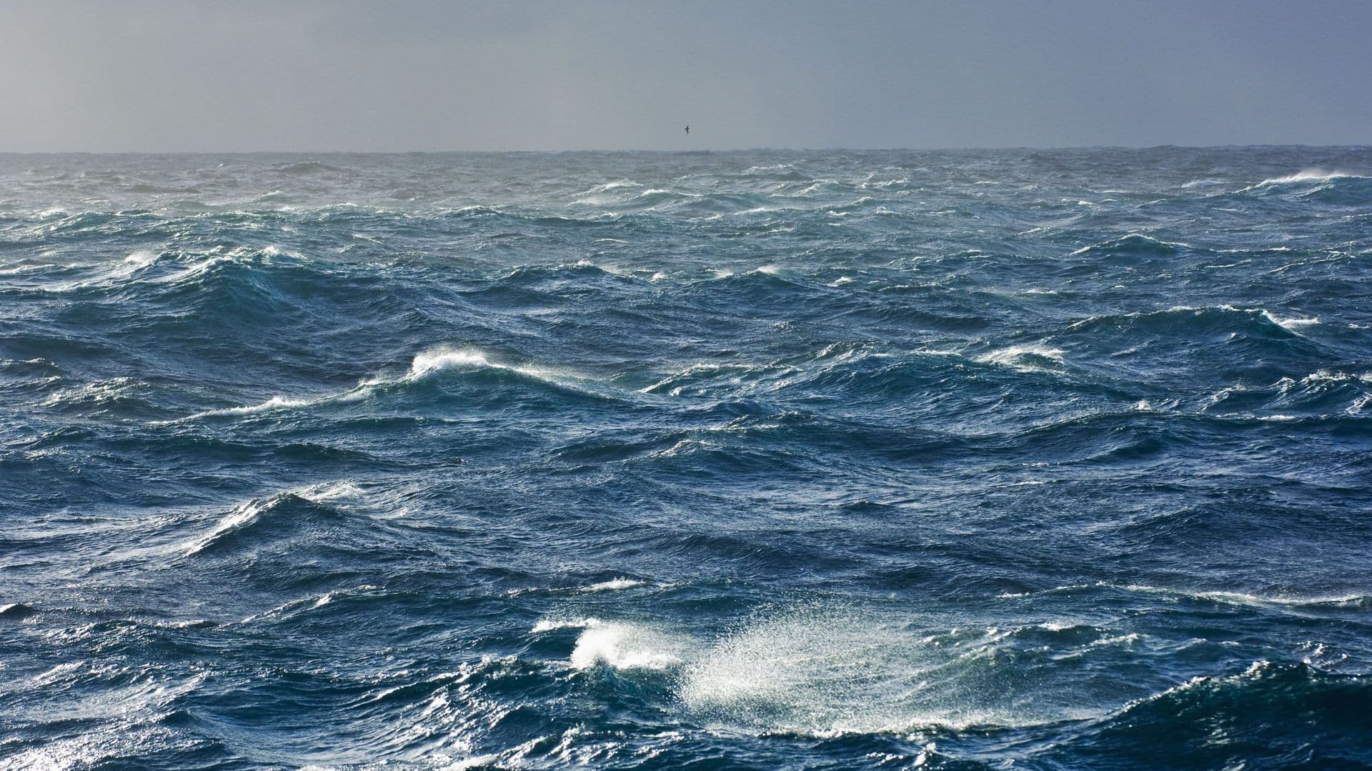 Elderly Passenger Dies as Norovirus Suspected on Cruise Ship