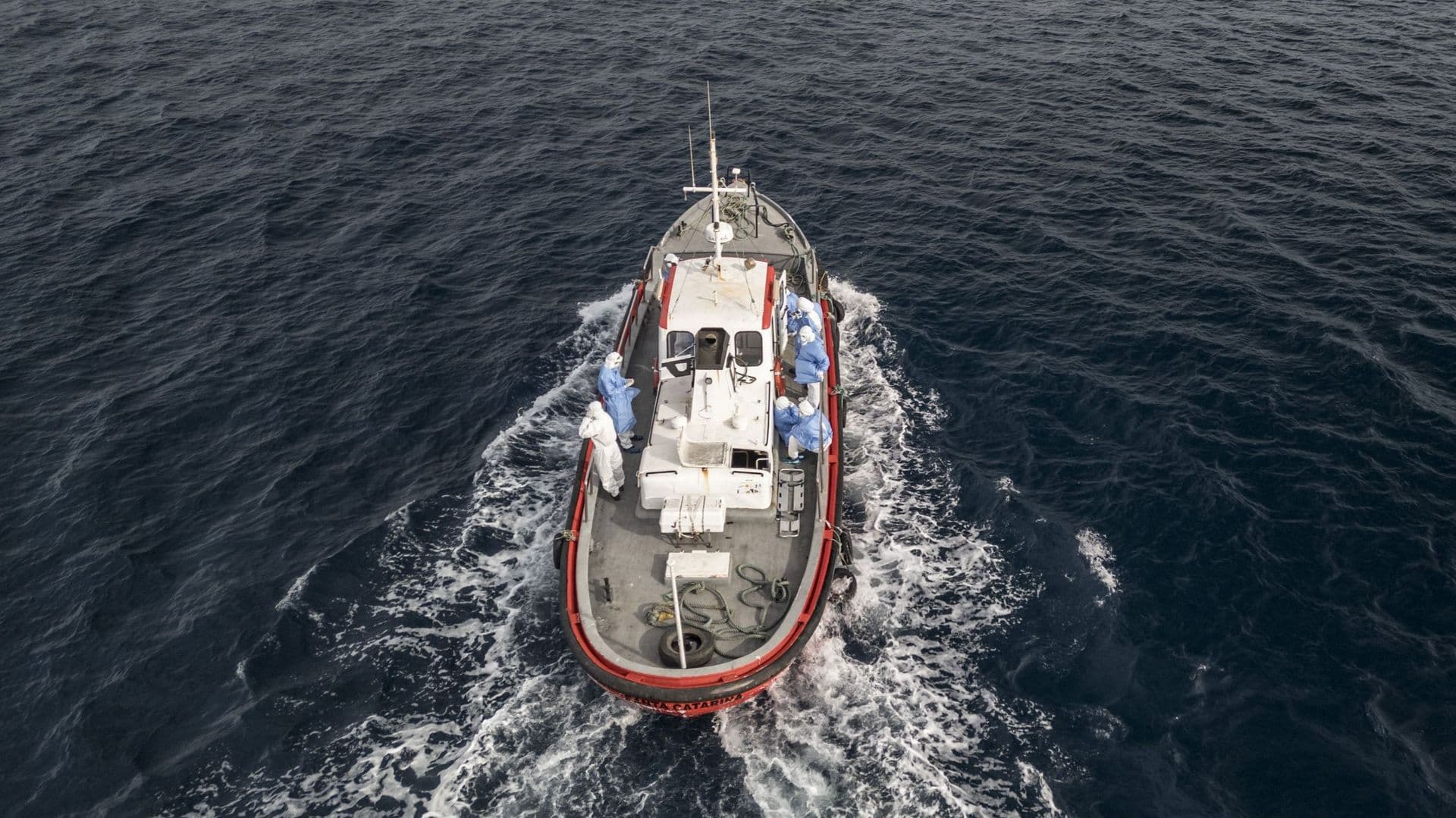 Risque d'hantavirus après une croisière : l'OMS alerte 12 pays, des kits de dépistage envoyés