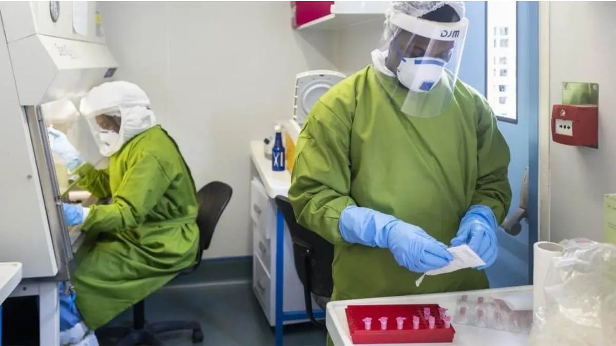 OMS evalúa como bajo el riesgo global del virus Nipah tras casos en India