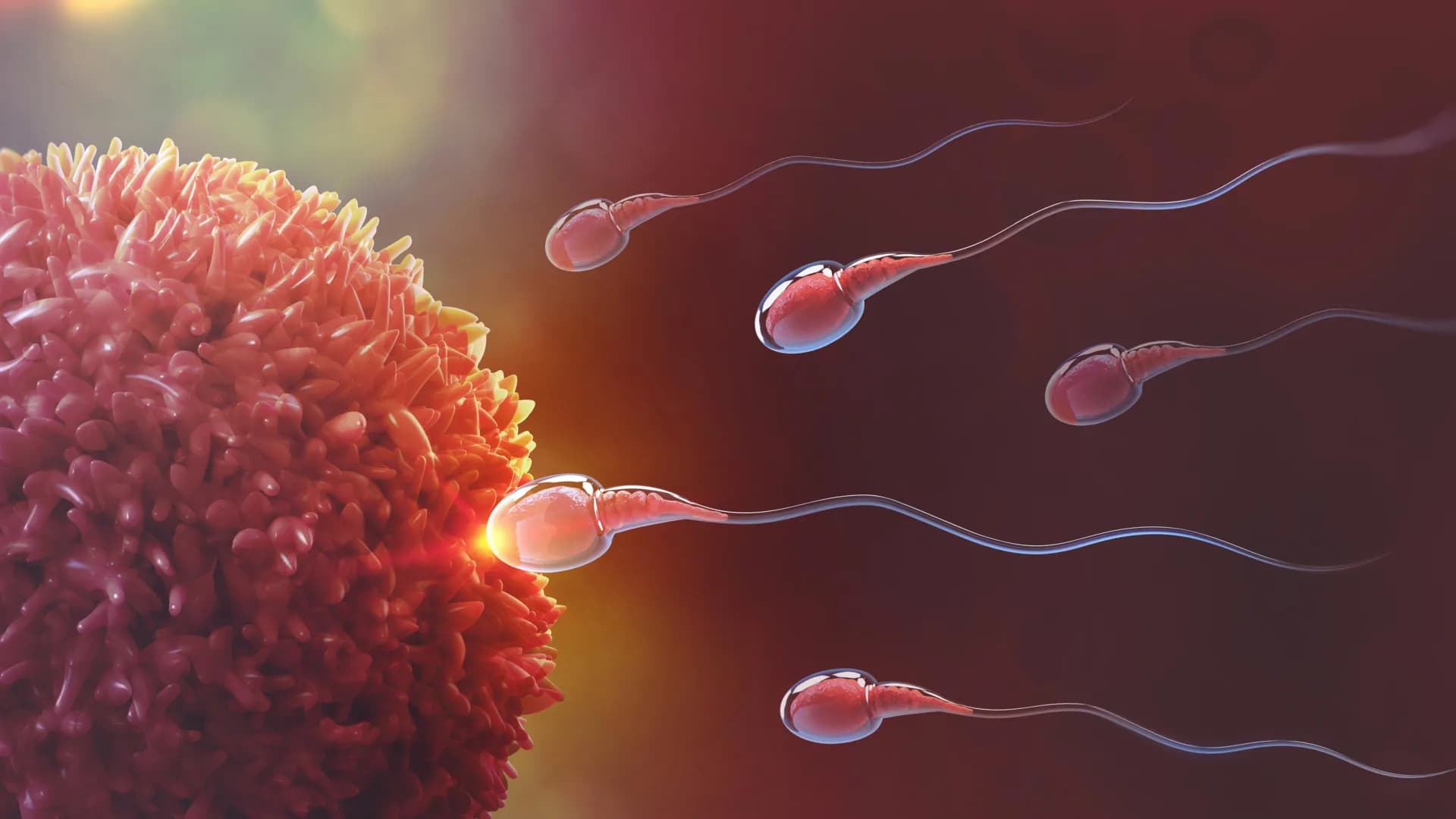 Scientists Create Promising New Nonhormonal Birth Control for Men