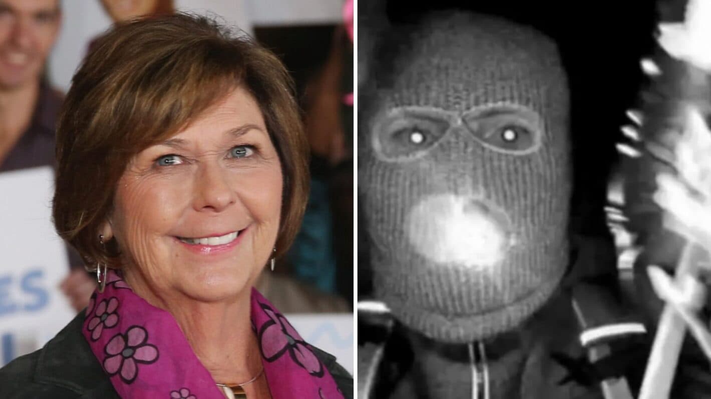 Experts speculate on fate of missing mother of Today anchor