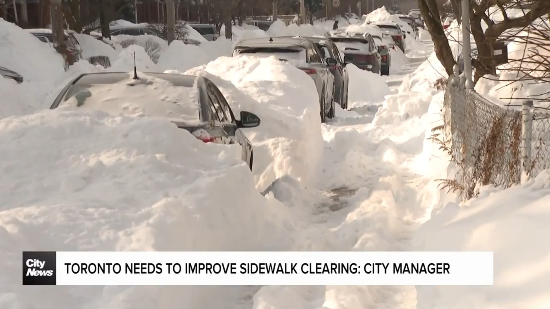 Toronto Prioritizes Sidewalk Clearing After Snowstorm Criticism