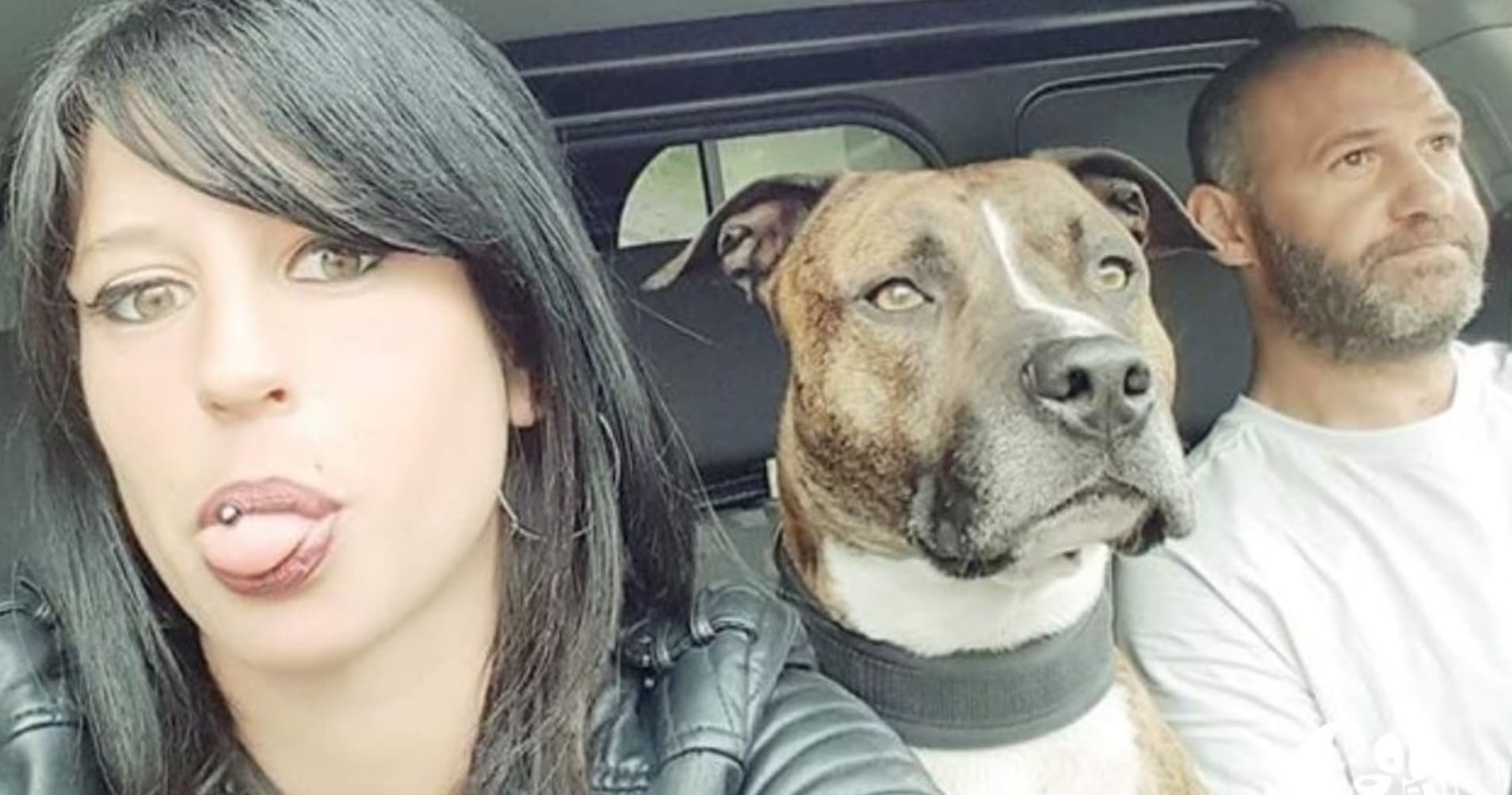 Mort d'Élisa Pilarski: son compagnon reconnaît la culpabilité du chien Curtis