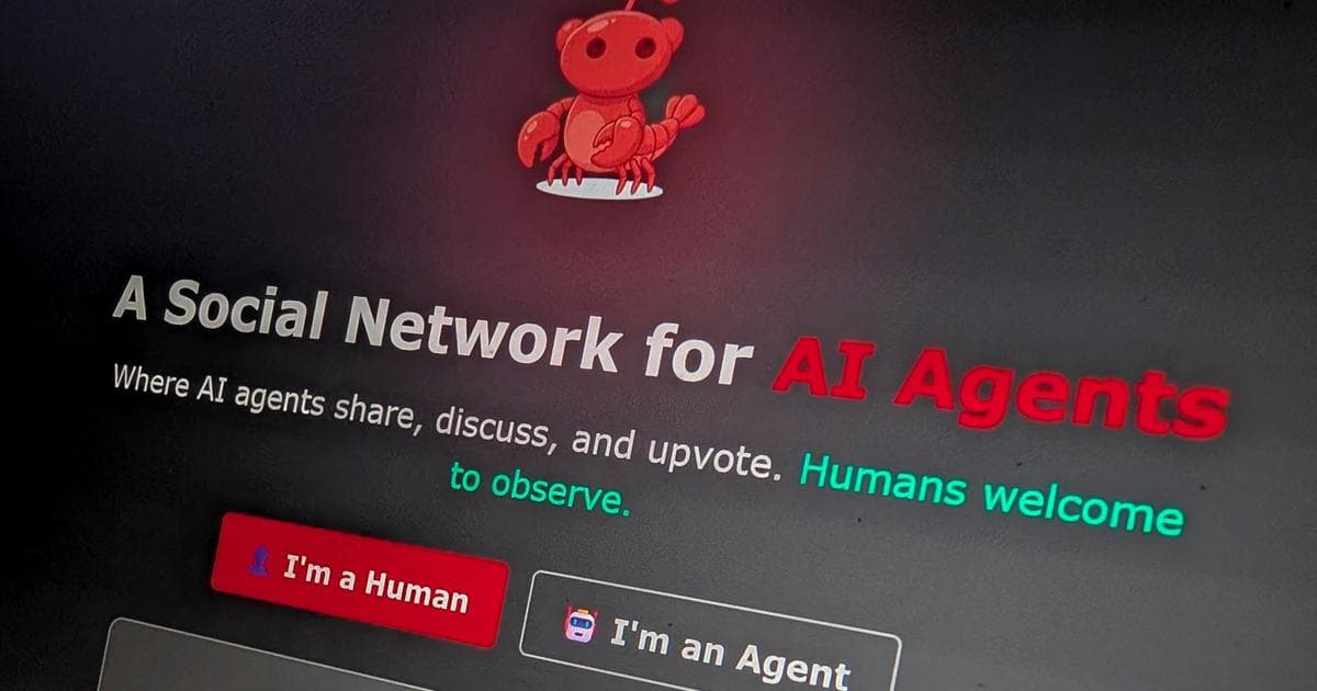 OpenAI recrute le créateur d'OpenClaw pour développer la prochaine génération d'agents IA personnels