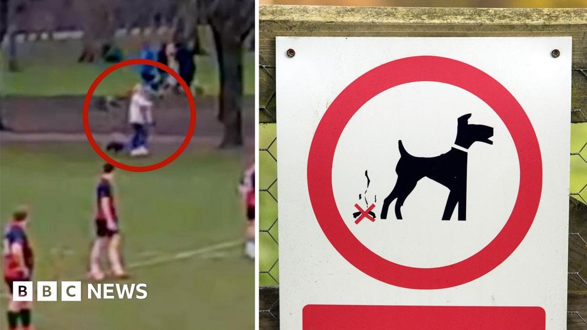 Dog Fouling Disrupts Rugby Games in Cardiff, Causing Community Concern
