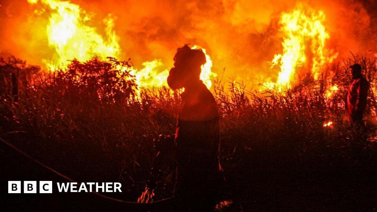 Super El Niño Threatens Record Global Temperatures and Extreme Weather
