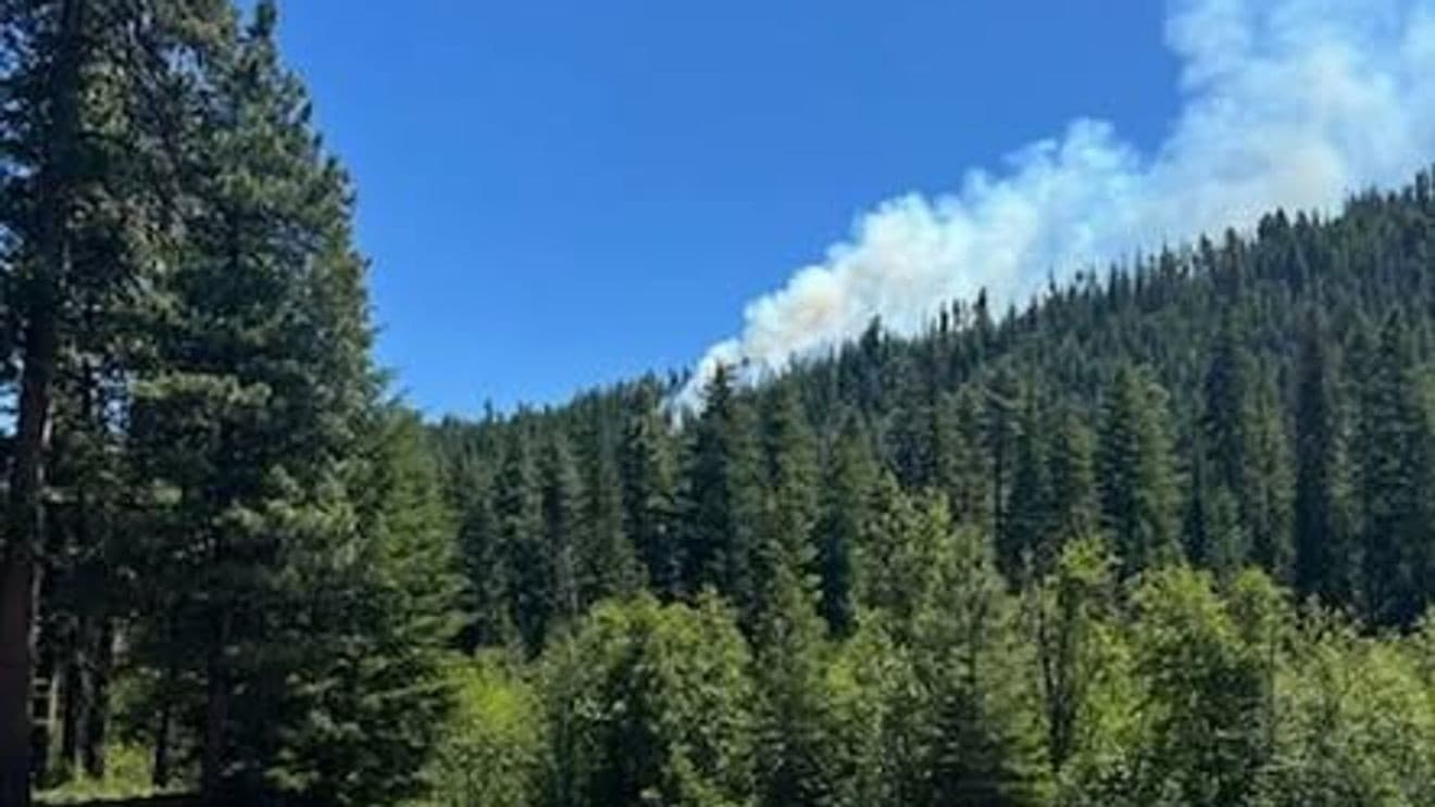 Un avion de chasse américain s'écrase à Washington, le pilote est sain et sauf, un incendie se déclare
