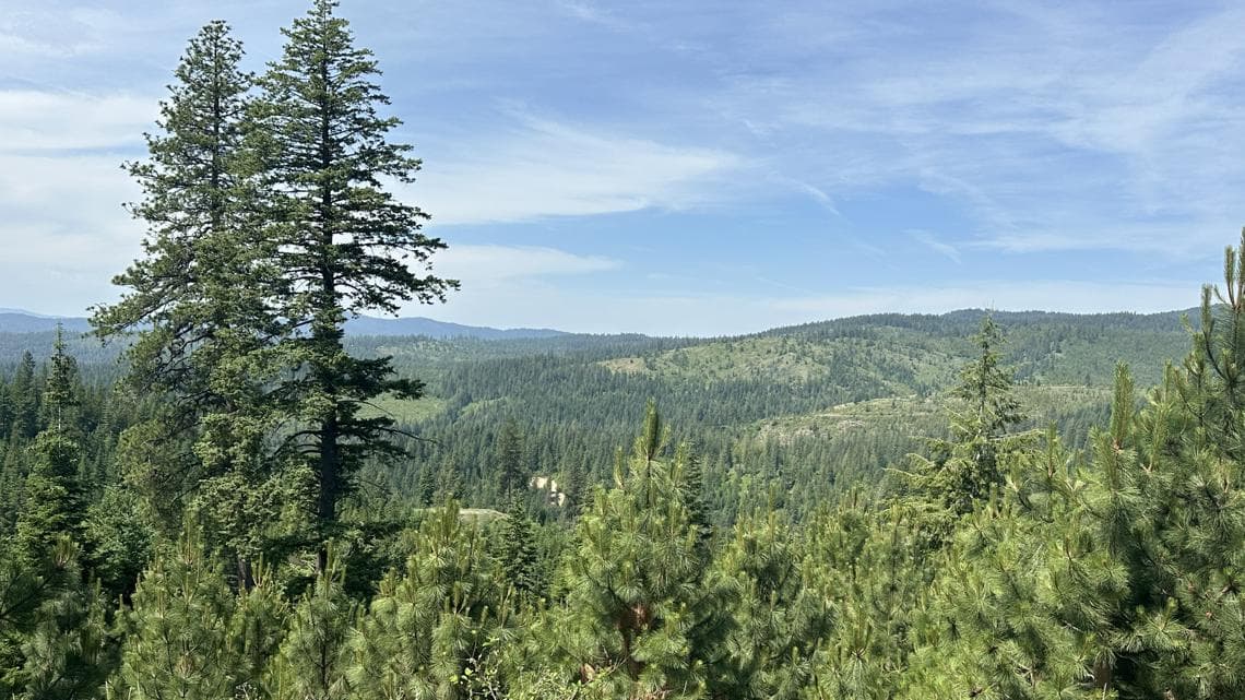 22,000 Acres Near Mount Spokane Permanently Protected from Development