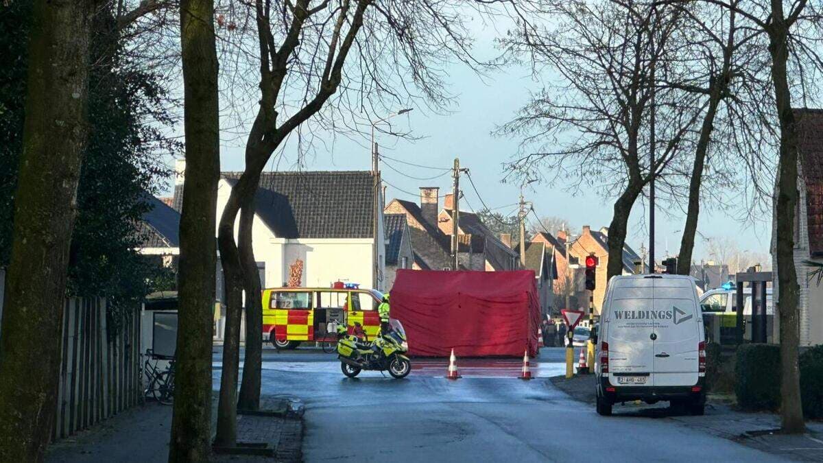 Fietsster (48) overlijdt bij ongeval in Maldegem, bestuurder had groen licht