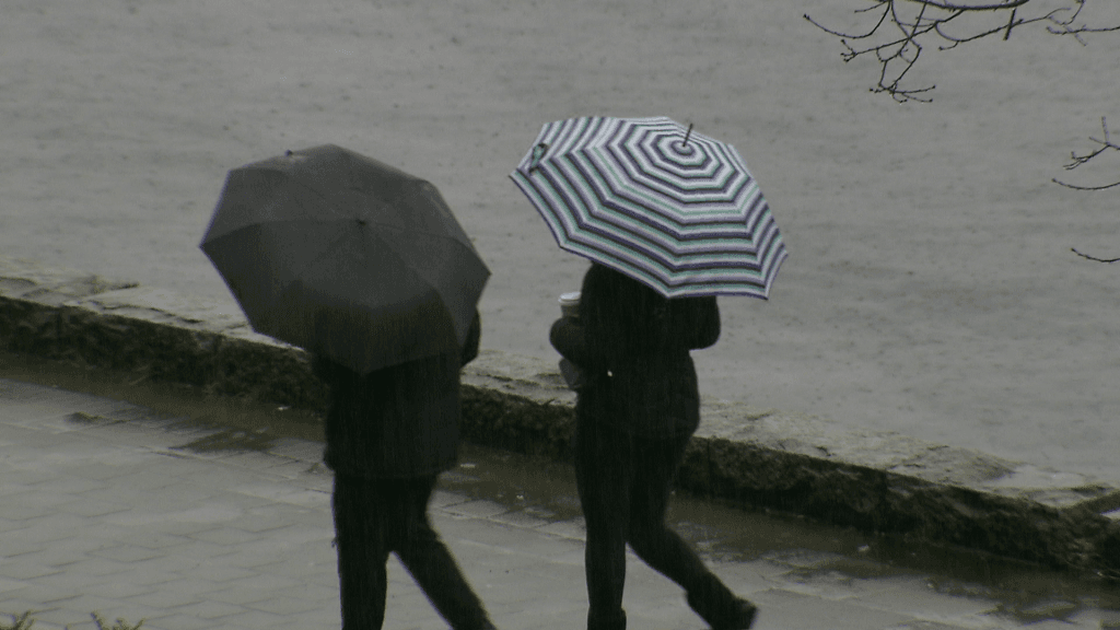 Rainfall Warning Issued for Metro Vancouver and Vancouver Island